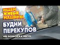 Ищем живые машины. Будни перекупов #Впоискахавто