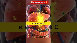 Мощное  лекарство  которое  растёт  на  вашей  грядке