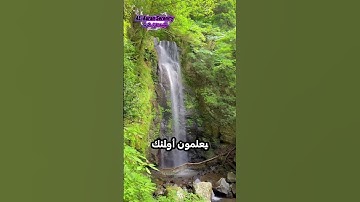 #qurankareem #peaceful #تلاوة_خاشعة #تيك_توك #القرآن_الكريم #راحة_نفسية #متابعه_ليصلك_كل_جديد