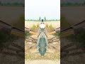 #remix #music #super #tractor