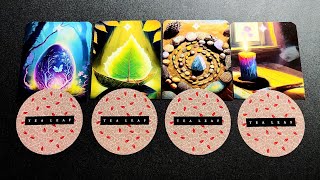 🌿 The Next Chapter 💫 Pick a Card