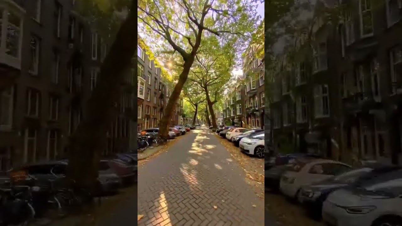 🇳🇱 AmsterDAM 🇳🇱 Beautiful streets of Lomanstraat ❌❌❌ 