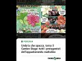 Umbria che spacca, torna il Garden Stage: tutti i protagonisti dell'appuntamento mattutino