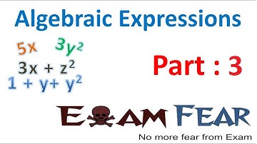 Maths Algebraic Expressions part 3 (Factors) CBSE Class 7  Mathematics VII