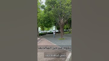 تلاوة من جزر المالديف | حسن إبراهيم حماد