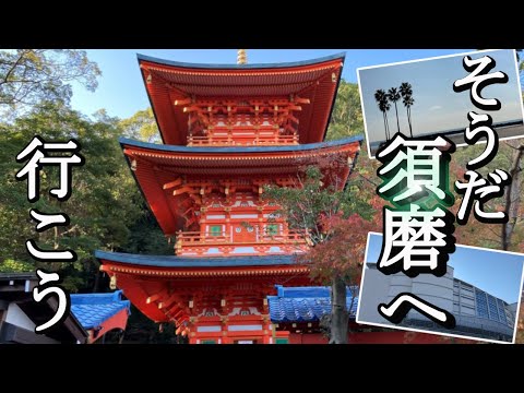 【そうだ須磨へ行こう】再開発中の須磨海浜公園の様子やナナ・ファーム須磨、須磨寺を紹介。2023年9月オープンした「にぎわい施設松の杜ヴィレッジ」から須磨の代表的な観光名所である須磨寺を散策しています。