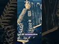 Gerald R. Ford: The Giant Ruling the Oceans