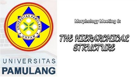 HIERARCHICAL STRUCTURE • MORPHOLOGY MEETING 6 • MID EXAM • MAHASISWA UNIVERSITAS PAMULANG