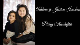 Adelina şi Jessica Iacoban - Plâng trandafirii chords