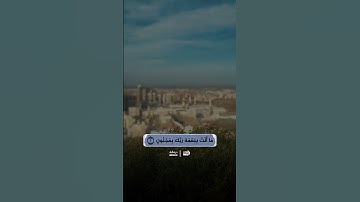 أكتب شيء تؤجر عليه .. ❤️ #قران_كريم #قرآن #تلاوة_خاشعة