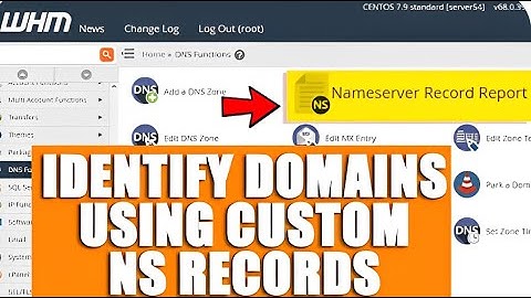 How to find domains that are using custom/private nameserver records via WHM?