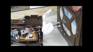 ME 218C Funny Bunny Rover