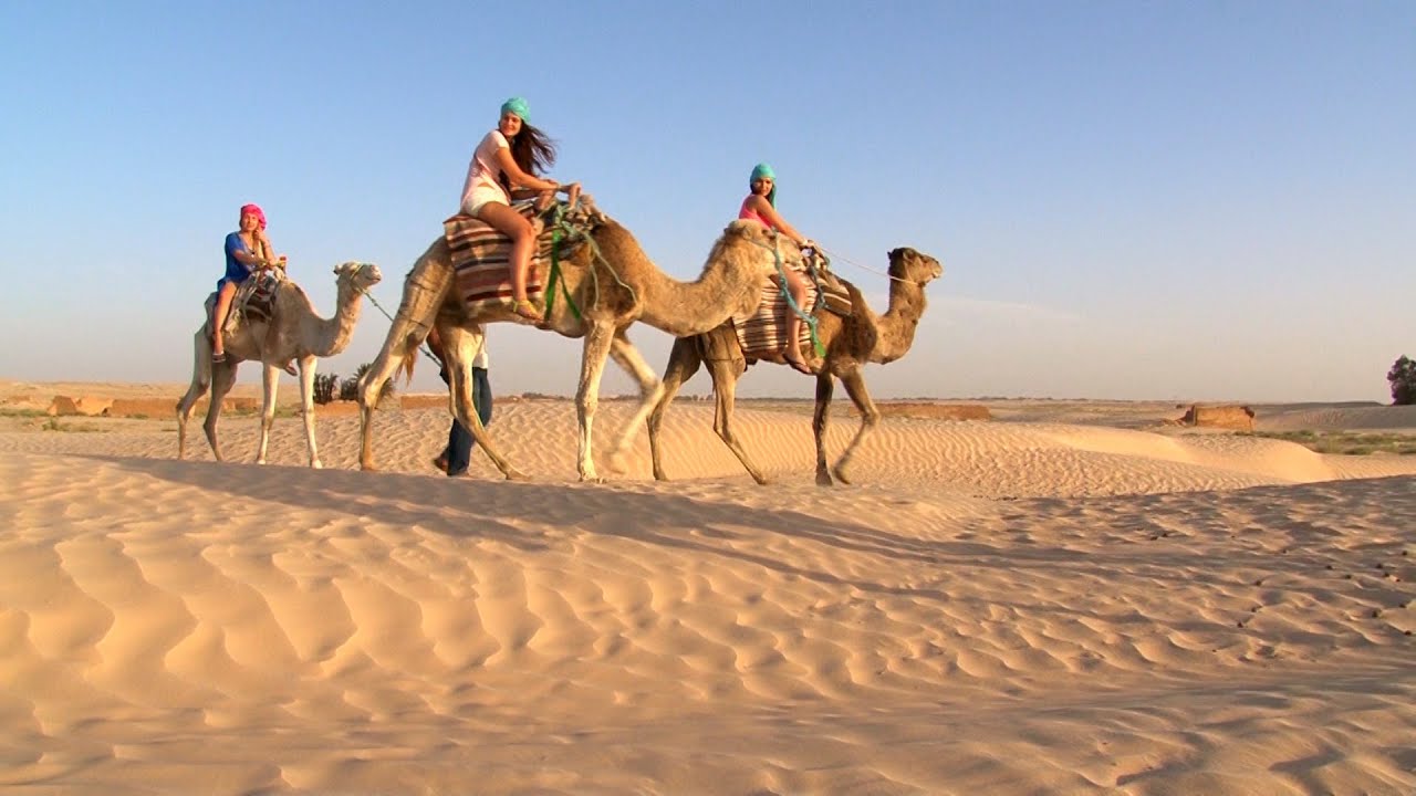 Globe TV - Tunesien