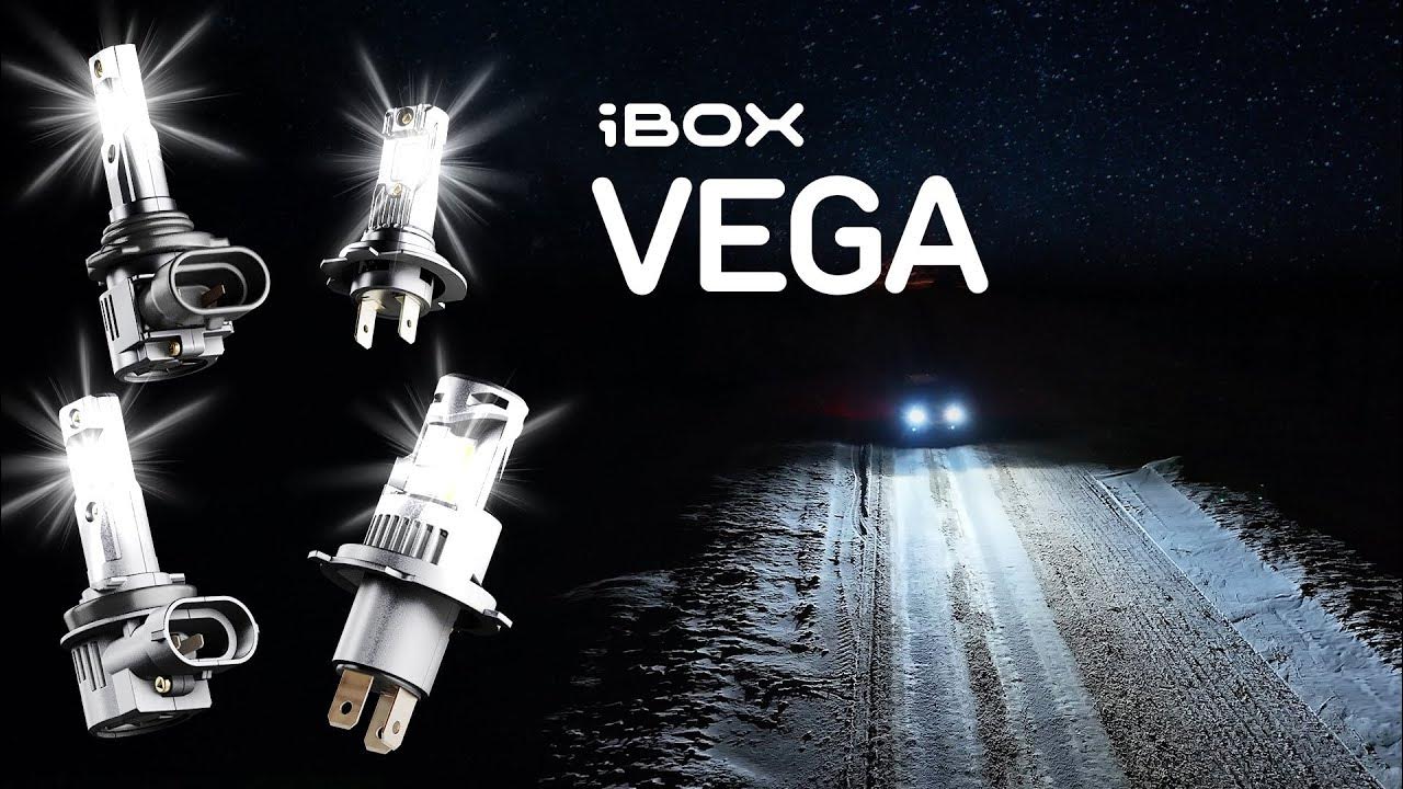 Ibox vega