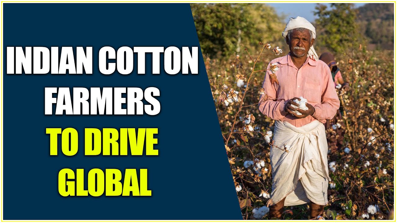Adaptation Of Scientific Agriculture Practices Will Drive Global Demand Towards Indian Cotton Farmer