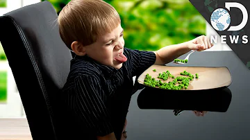 How often do adults taste buds change?