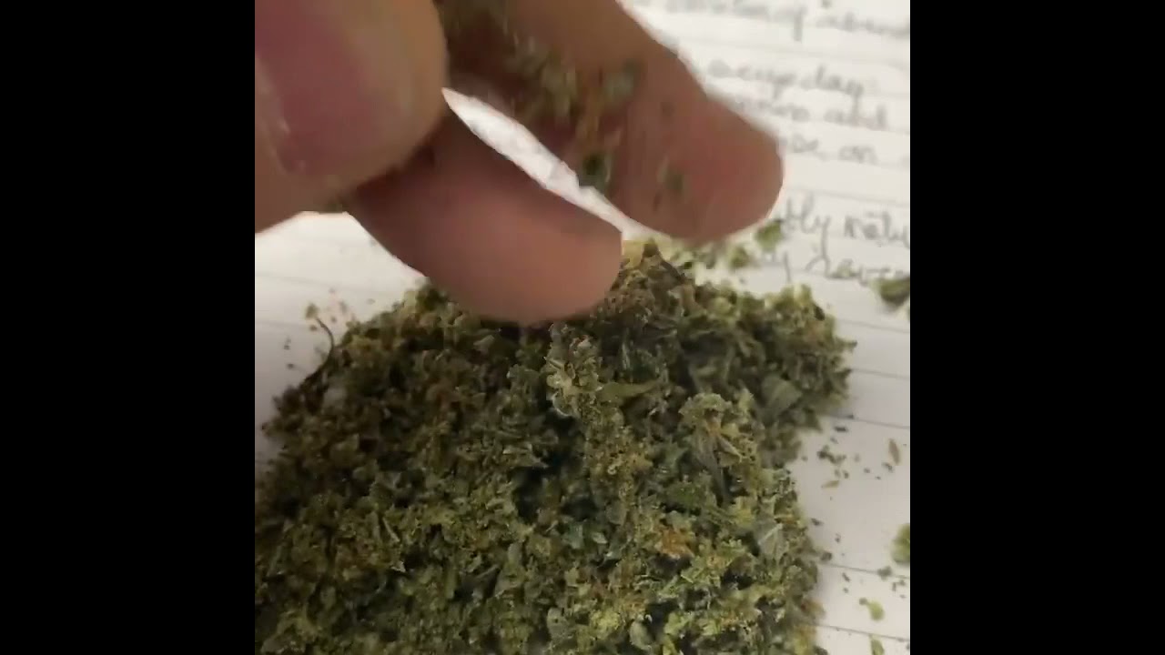 The very first taste of this homegrown Moby Dick