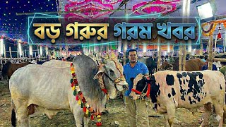 "বড় গরুর গরম খবর" গাবতলী গরুর হাট! Qurbani cow price 2026 screenshot 4