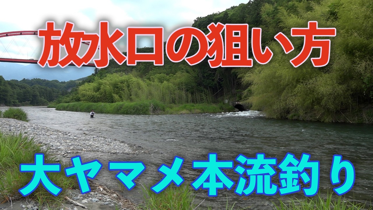 Fishing for large cherry salmon in the main river: How to target