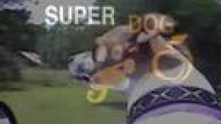 Super Dog