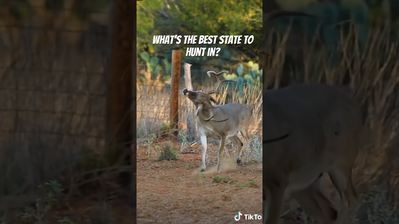 What is the best state to hunt in? 