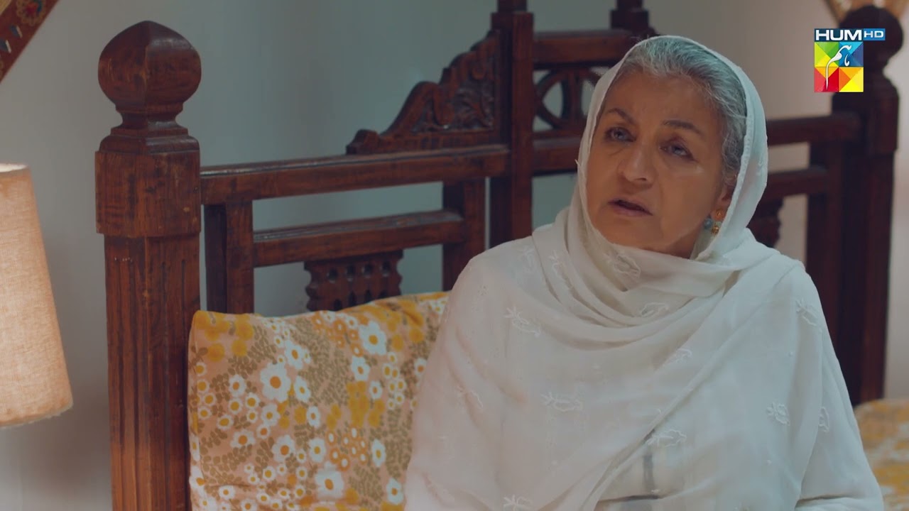 Wehem - Episode 14 - Best Scene 02 - HUM TV Drama