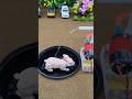 diy tractor video mini water pump science project #diytractor #tractor #shortsfeed #shorts #ytshorts