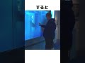 【衝撃】サメに襲われる男性 #shorts