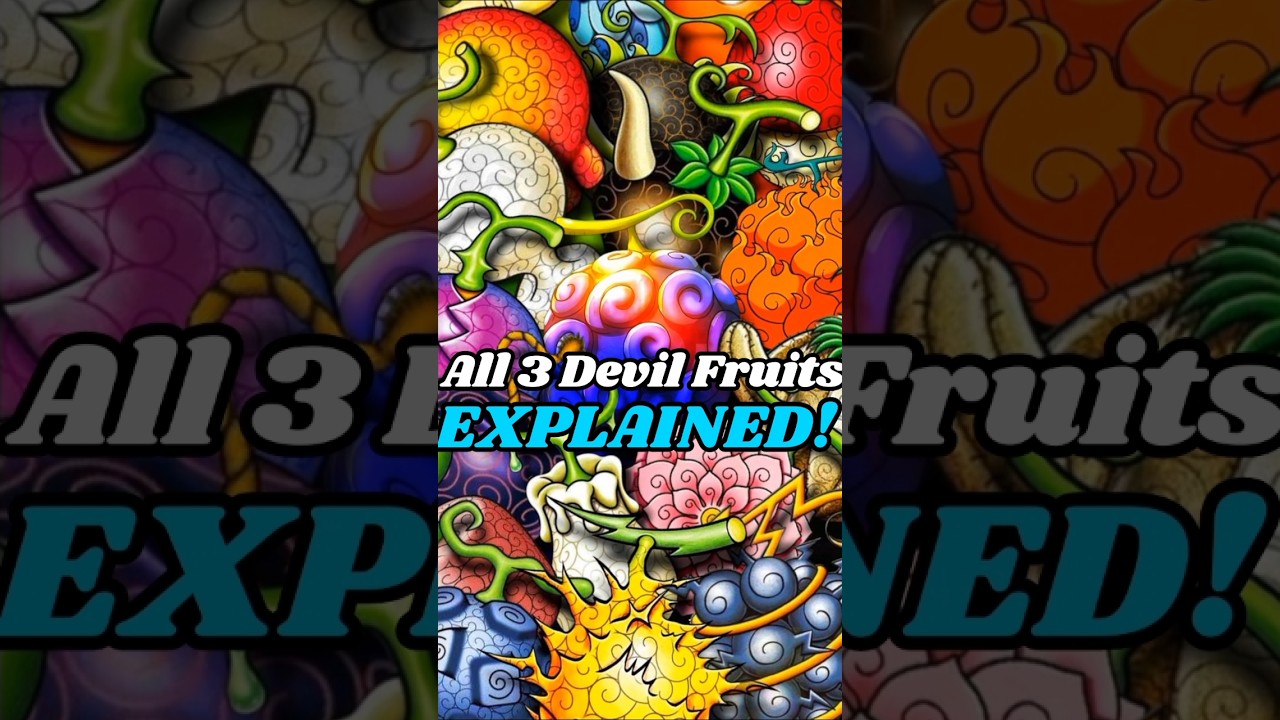 All 3 Devil Fruit Types Explained! (One Piece) 