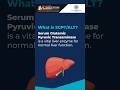 Serum Glutamic Pyruvic Transaminase (SGPT) | Alanine Aminotransferase (ALT) Test