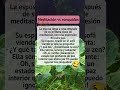 Esposa alcanza la paz interior… ¡y la usa para ignorar los ronquidos de su marido!