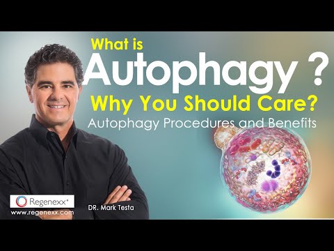 What is Autophagy