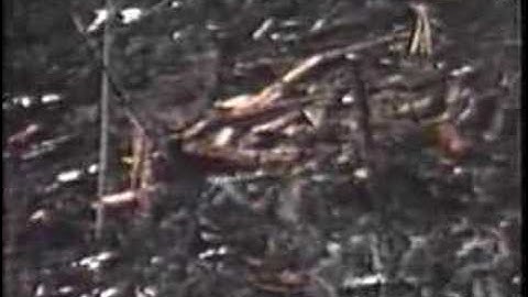 Zee Brothers Logging (part 3)