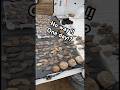 We DUG over 100 ARROWHEADS IN one DAY?!?!? NO WAY!!