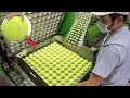 Inside the factory the making of highquality tennis balls