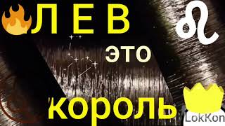 видео: ЛЕВ ♌--это ПЛАМЯ КОСТРА+@tree-of-life14 канал для ДУХОВНОГО РАЗВИТИЯ Ютуб  картинка: ЛЕВ ♌--это ПЛАМЯ КОСТРА+@tree-of-life14 канал для ДУХОВНОГО РАЗВИТИЯ Ютуб