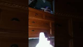 Hiya evolved meets playmates rodan #ytshorts #godzilla #comedyfilms #funny #memes #rodan
