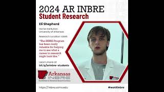 AR INBRE 2024 Summer Students: Eli Shepherd