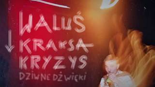 Video thumbnail of "WaluśKraksaKryzys - DziwneDźwięki"