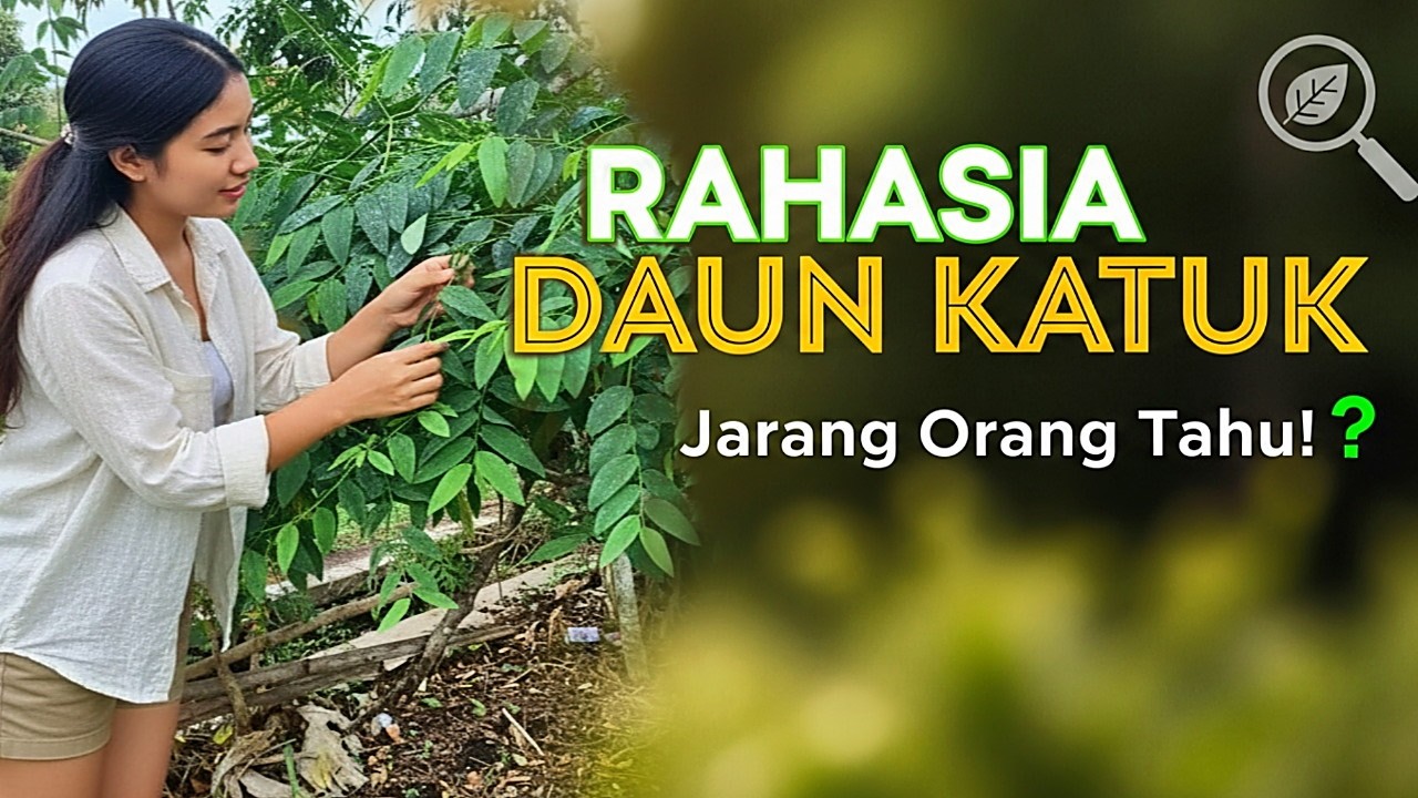 Inilah Khasiat Daun Katuk yang Luar Biasa! 💚