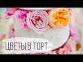 Как подготовить цветы в торт | Украшение торта живыми цветами