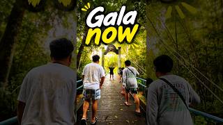 GALA NOW