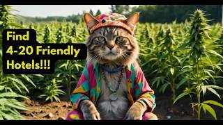 Find Cannabis Friendly Hotels