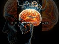 Unbelievable fact about brain | brain bomb #facts #braintest