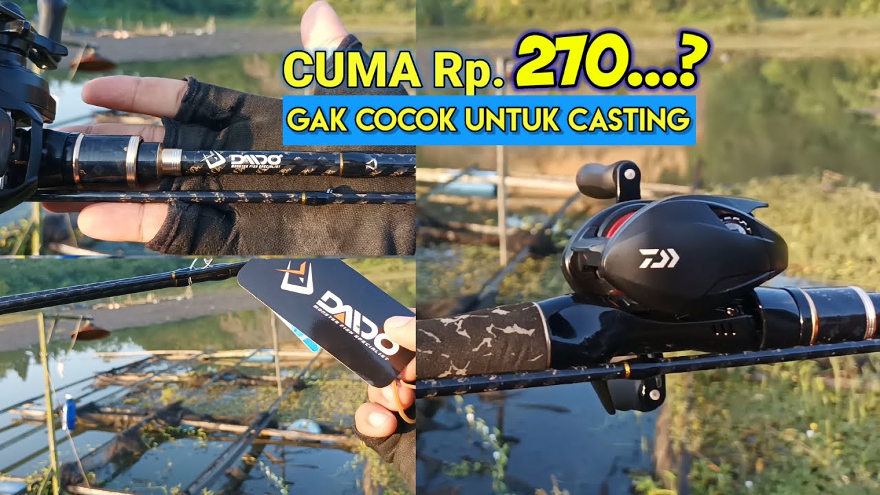 Gak cocok untuk CASTING || JORAN DAIDO PREDATOR 10-20LB || kekurangan & kelebihan joran DAIDO