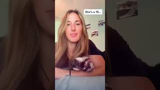 dogs being idiots #funnyanimals #funnypets #petvideos #lovegoldens #cutegolden #funnydogs #animals
