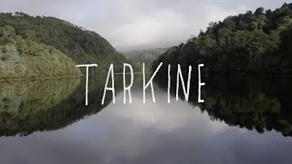 Tarkine