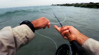 The BEST Most Intense Fast SURF FLY FISHING VIDEO for Striped Bass & Keeper Fluke