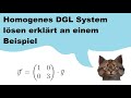 Wie kann man ein homogenes System von Differentialgleichungen (DGL) lösen erklärt