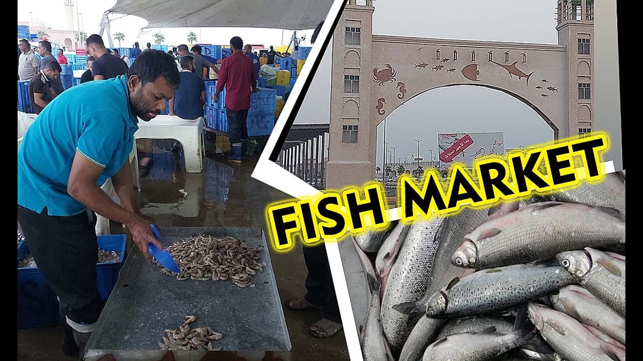 Whole Sale Sea Food Dammam Market Saudi Arabia YouTube